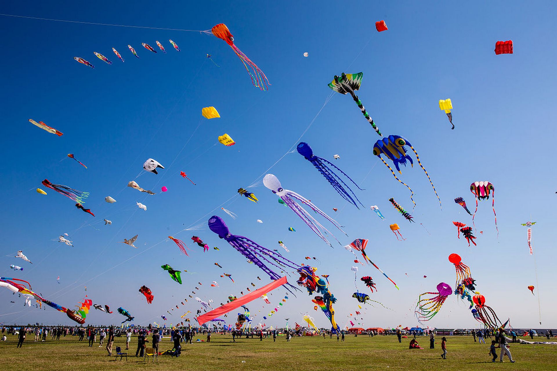 —潍坊风筝:翱翔于天际的文化瑰宝