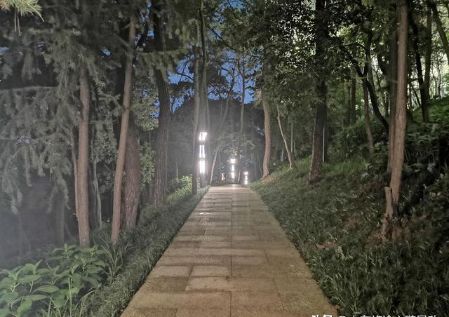 南京江宁区竹山公园,市民森林探幽,健身休闲的好去处