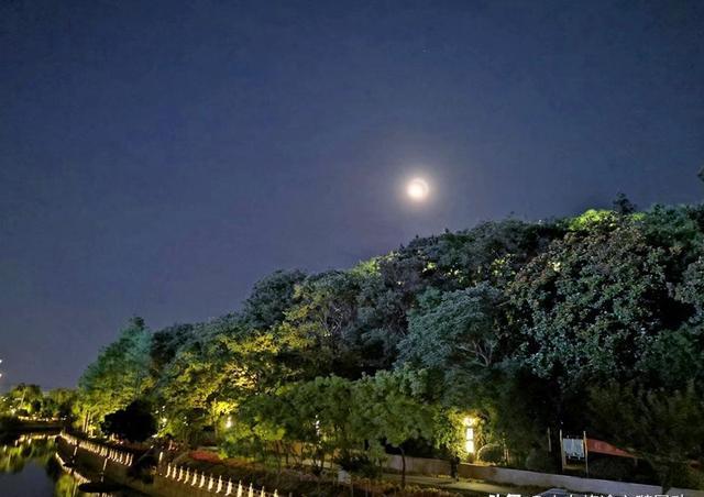 南京江宁区竹山公园,市民森林探幽,健身休闲的好去处