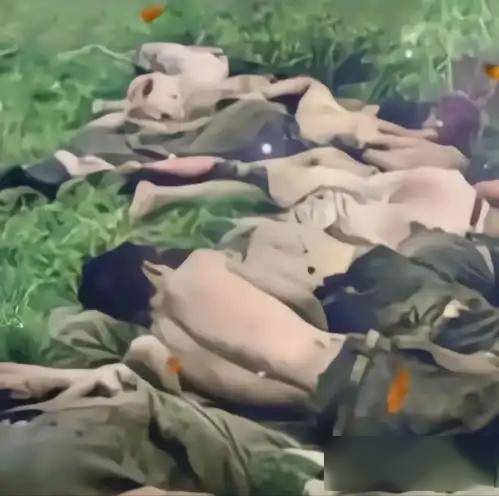 对越反击战首位牺牲女兵,22岁芳华陨落,仅抢回骨灰!