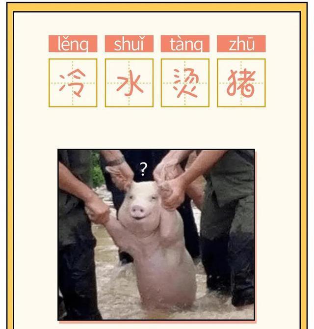 新闻联播中出现"令人喷饭"一词,其实像这样搞笑的成语还有很多