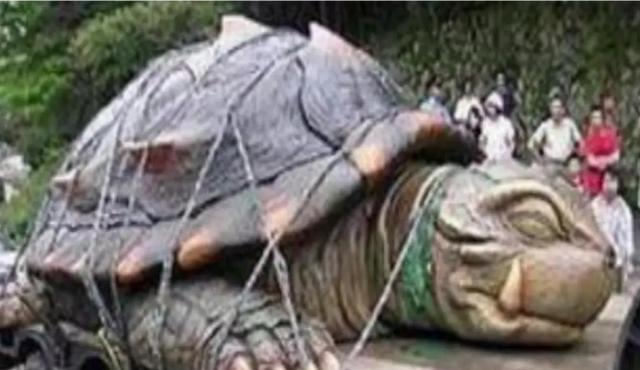 1965年黄河巨龟现世,据说有三层楼高,但最终却离奇消失!