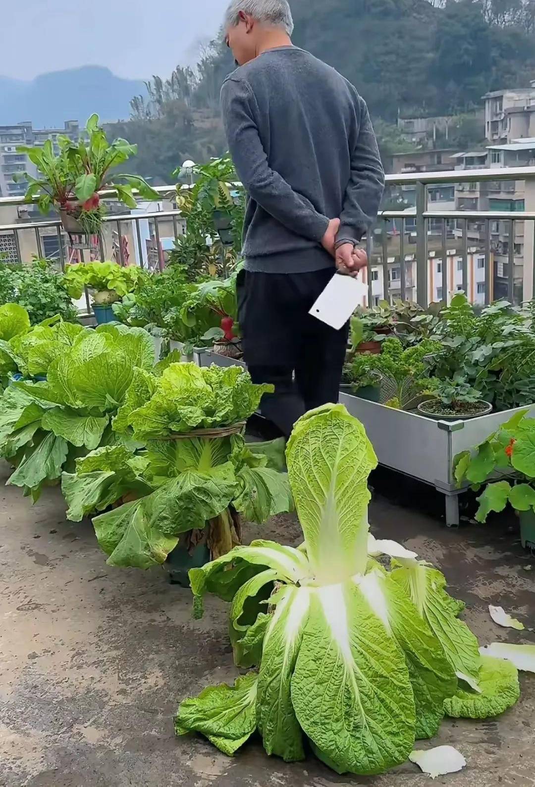 60亩地种什么赚钱(60亩地种什么赚钱快)