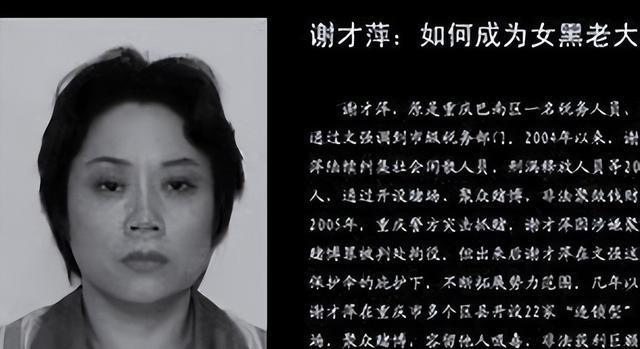 重庆赌场一姐谢才萍,16个小鲜肉对她死心塌地,其中一个被判刑