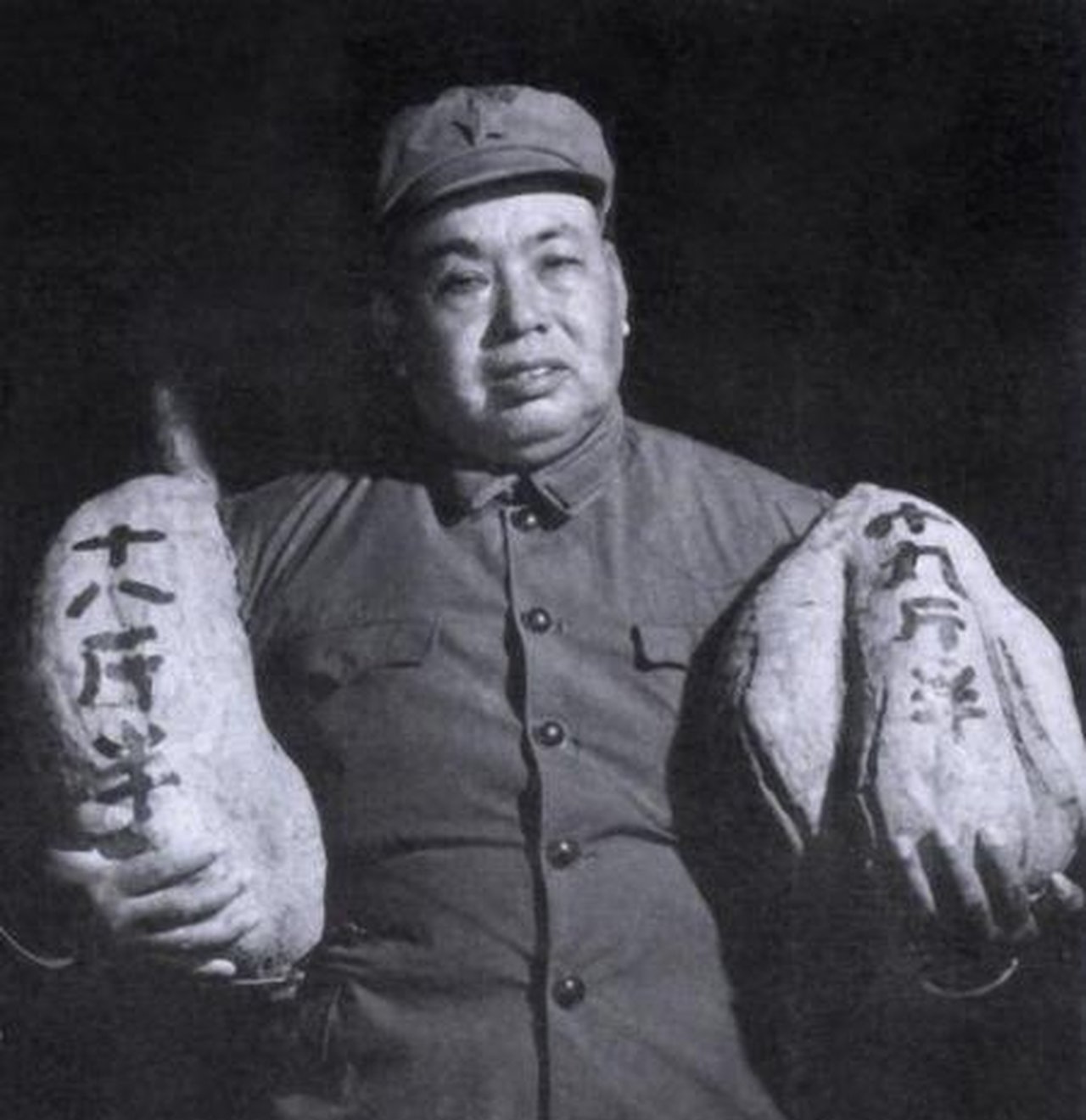 许世友逝世南京军区现任司令政委送的花圈竟然进不了大厅