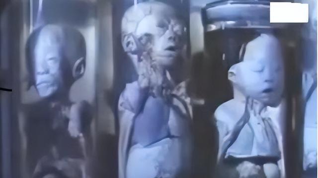 日本前731部队成员清水英男揭露:为什么孕妇和婴儿也要做成标本