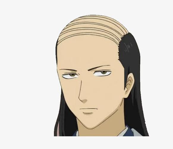 斑秃之谜:成因,现象与调整之路