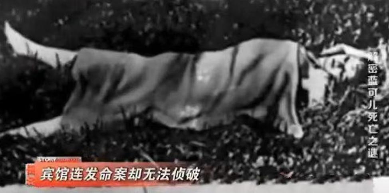 13年蓝可儿悬案!结局匪夷所思