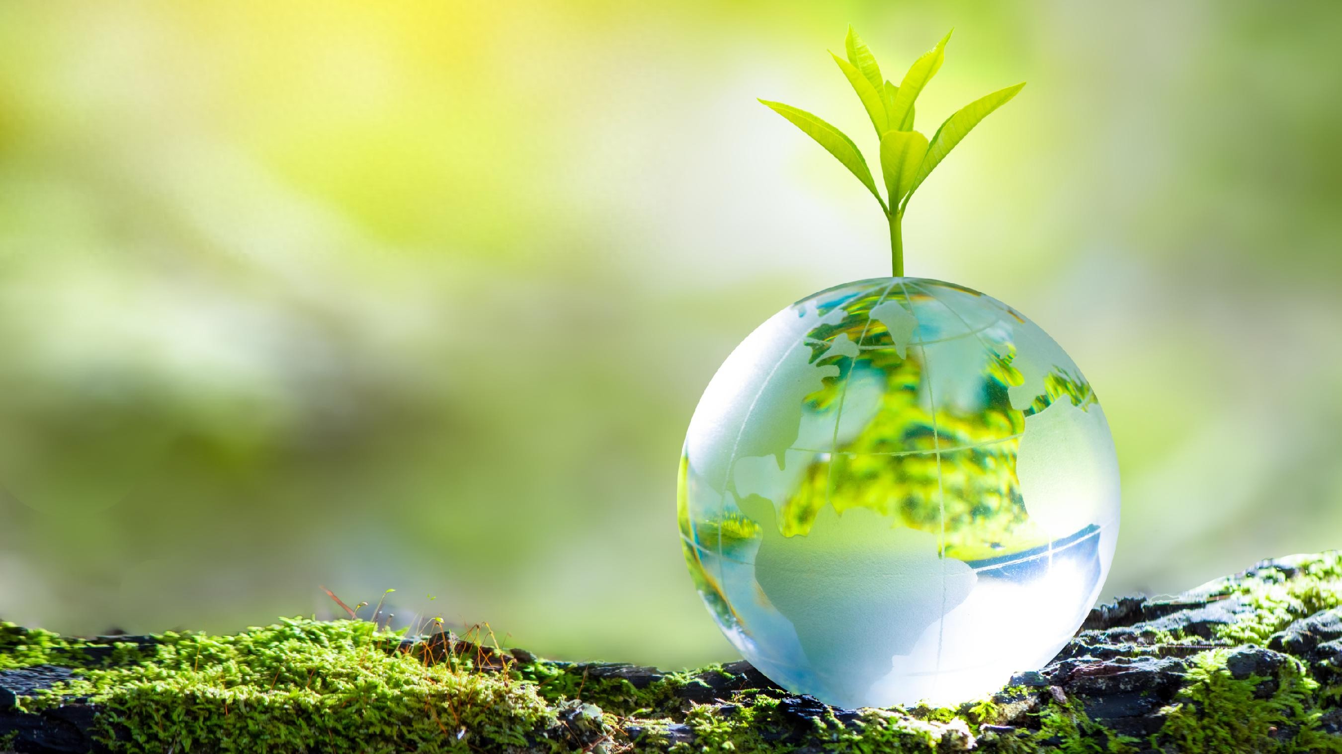 金融助力!推动经济社会绿色转型