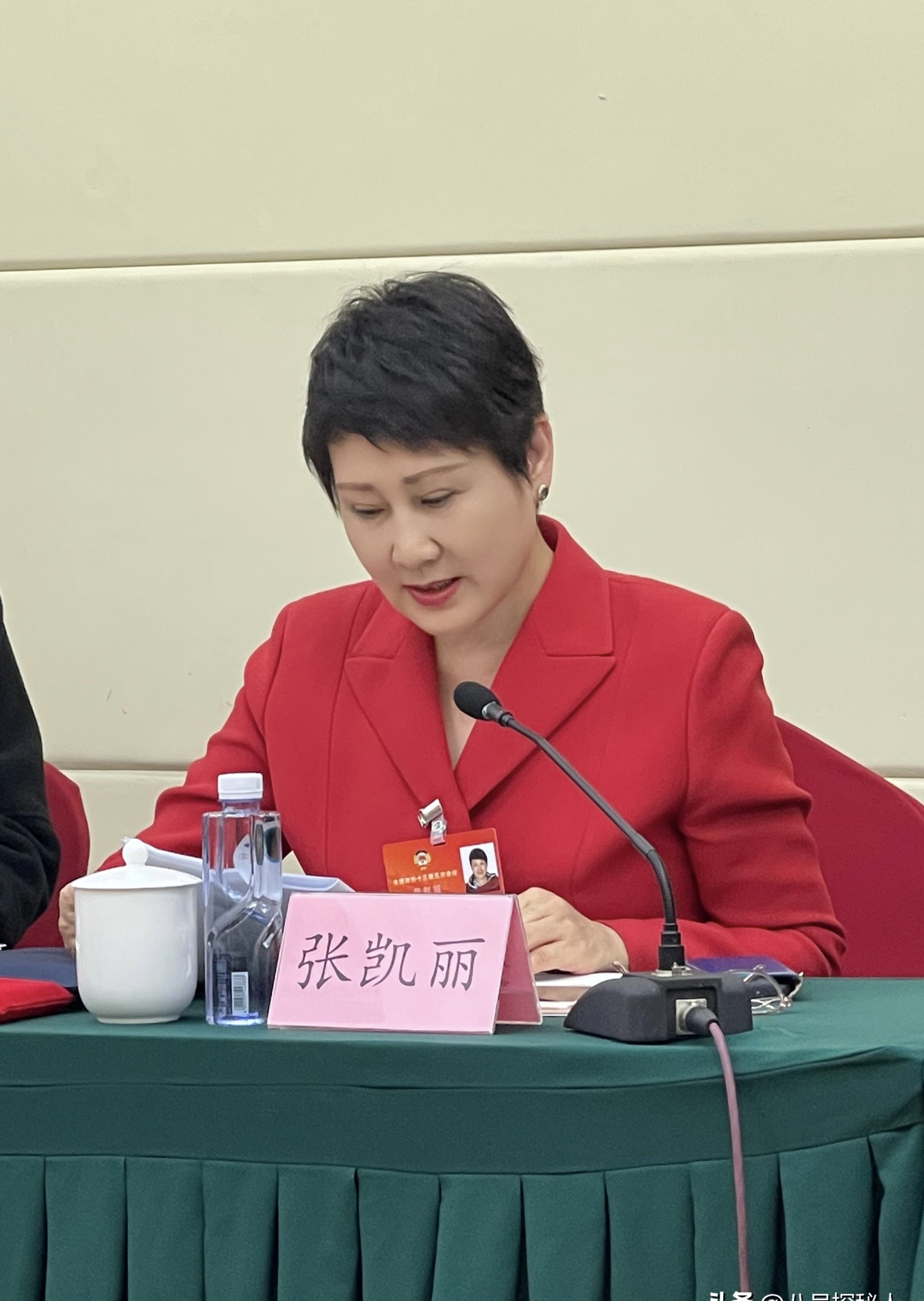 参加两会的4位明星个个口碑好这才是文艺工作者该有的样子