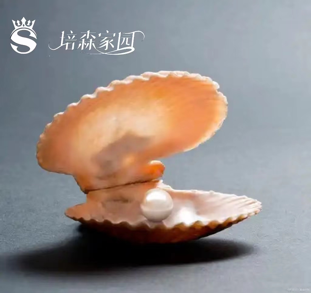 揭秘!蚌壳里的珍珠诞生记