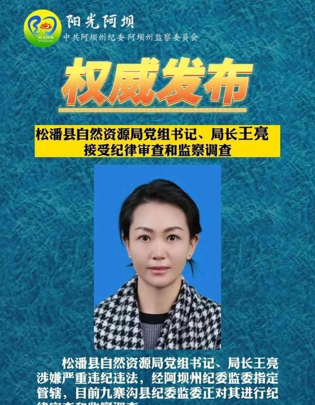 四川第一美女局长王亮被查,23岁副科,26岁正科,没有守住底线