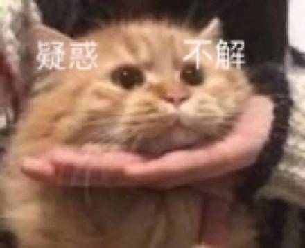 婚房装修到一半,隔壁竟是男友前任,我该不该起疑?