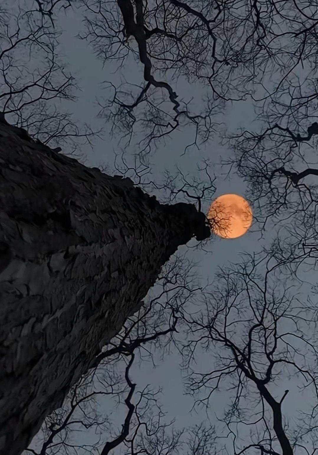 我家那口子以前总嫌我听的歌丧,现在倒好,她追剧都拿我的歌单当背景音