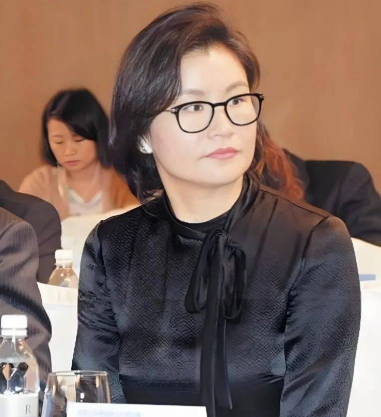 蓝思科技拟赴港融资!周群飞家族获12亿分红,累计a股募资达320亿