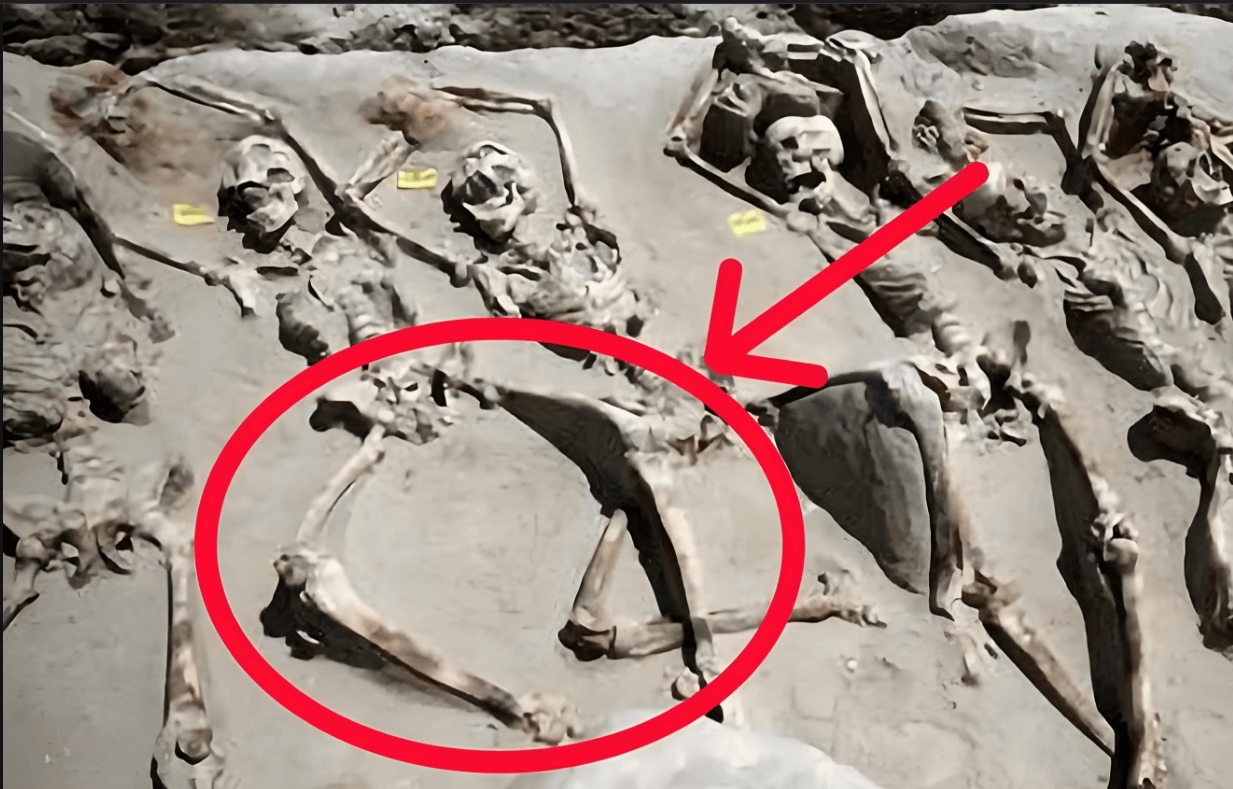 朱元璋死后,后宫嫔妃全部殉葬,这些人是怎么死的?