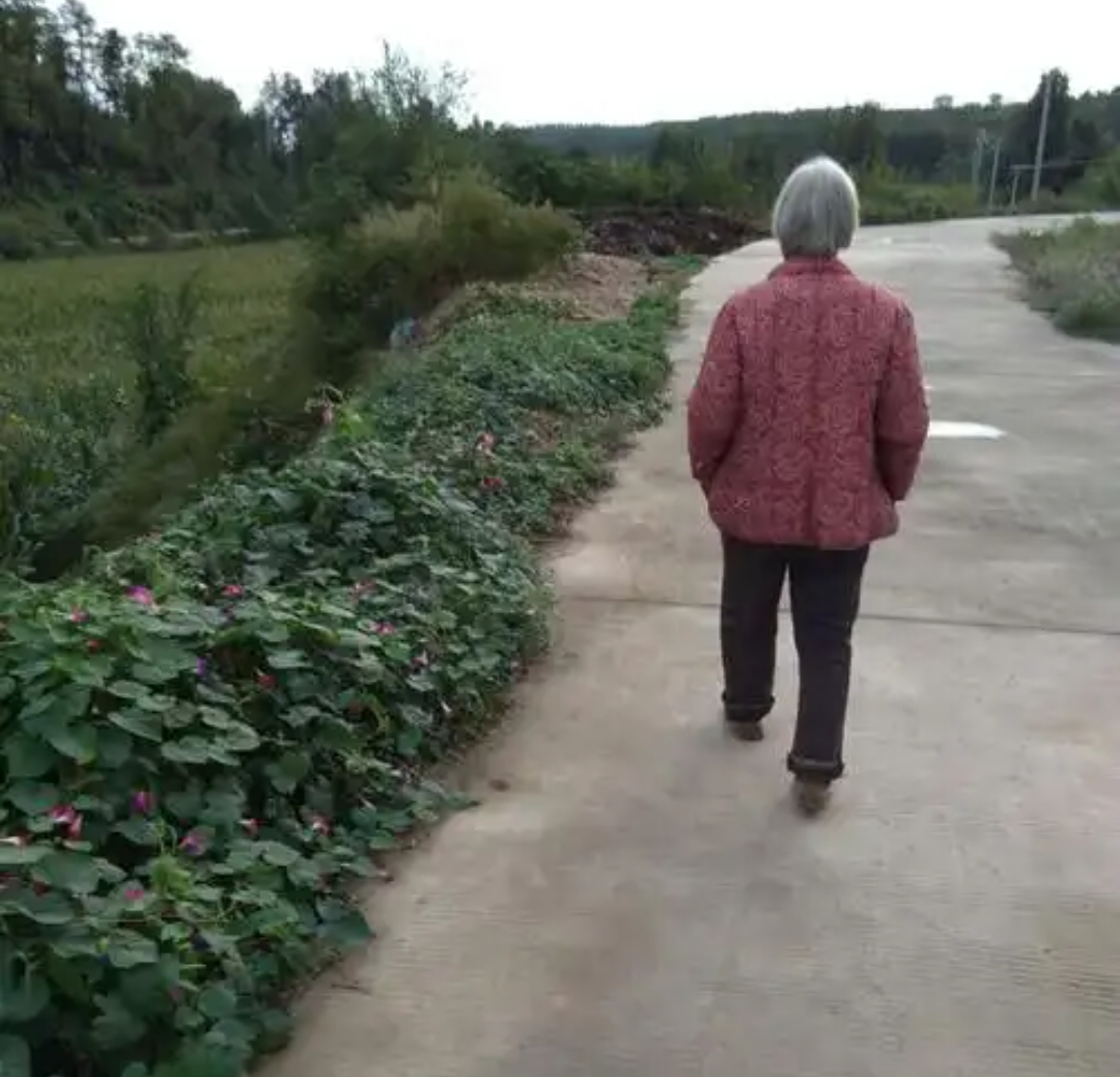 我帮女儿带外孙,女婿却要我交房租,我转身离开,3月后警察来找我