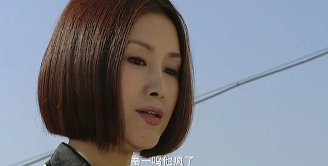 重生重案六组主角叫秦名