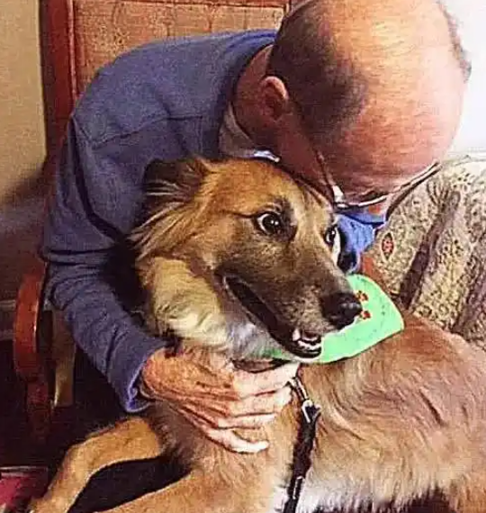 爷爷养了25年的老狗是微笑脸,我拍照发网上炫耀,网友:这是人面犬