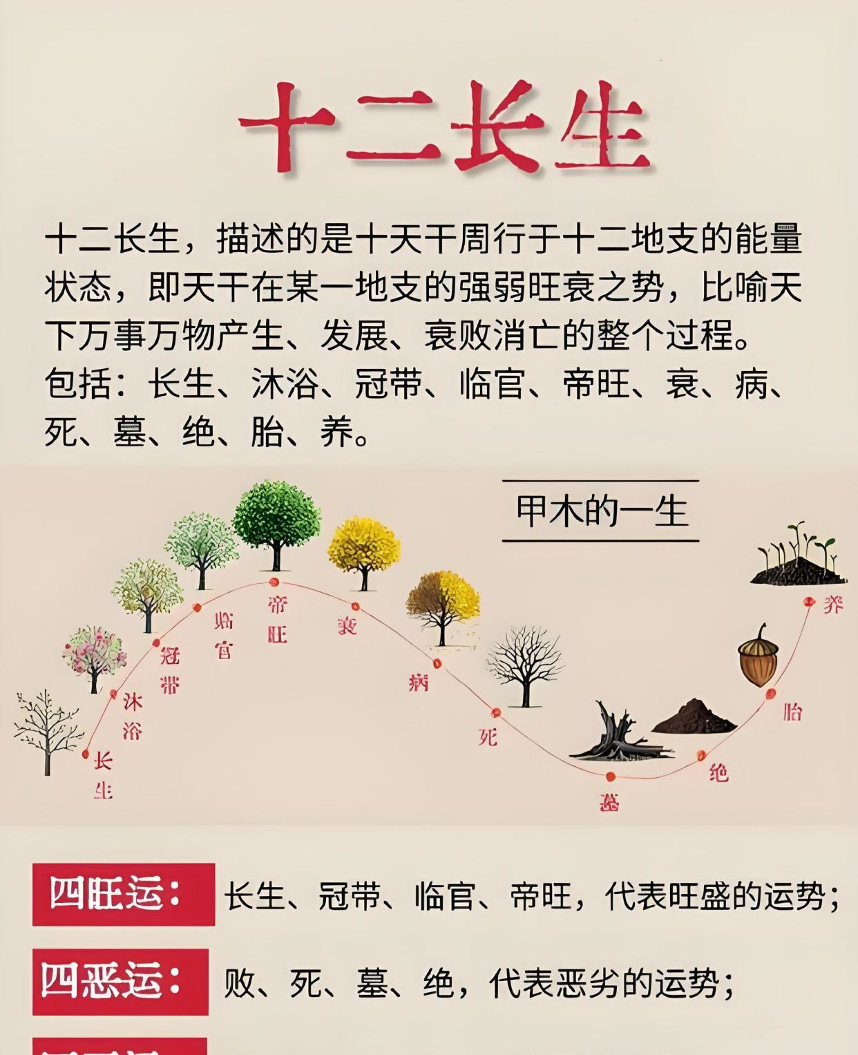 十二长生:壬水为何偏爱胎宫?甲木为何偏好冠带五行的生克奥秘