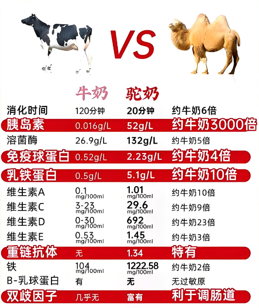 骆驼奶粉的功效与作用,驼奶粉饭前喝好还是饭后喝好;一文便知!