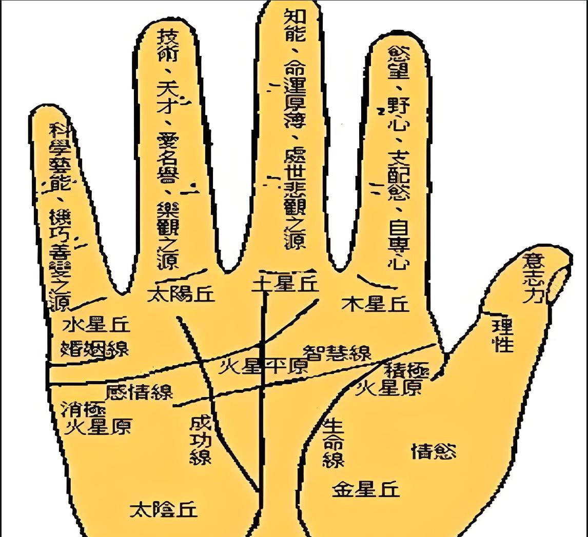 无名指长于食指者在末法时代最易觉醒的原因及其因果关系