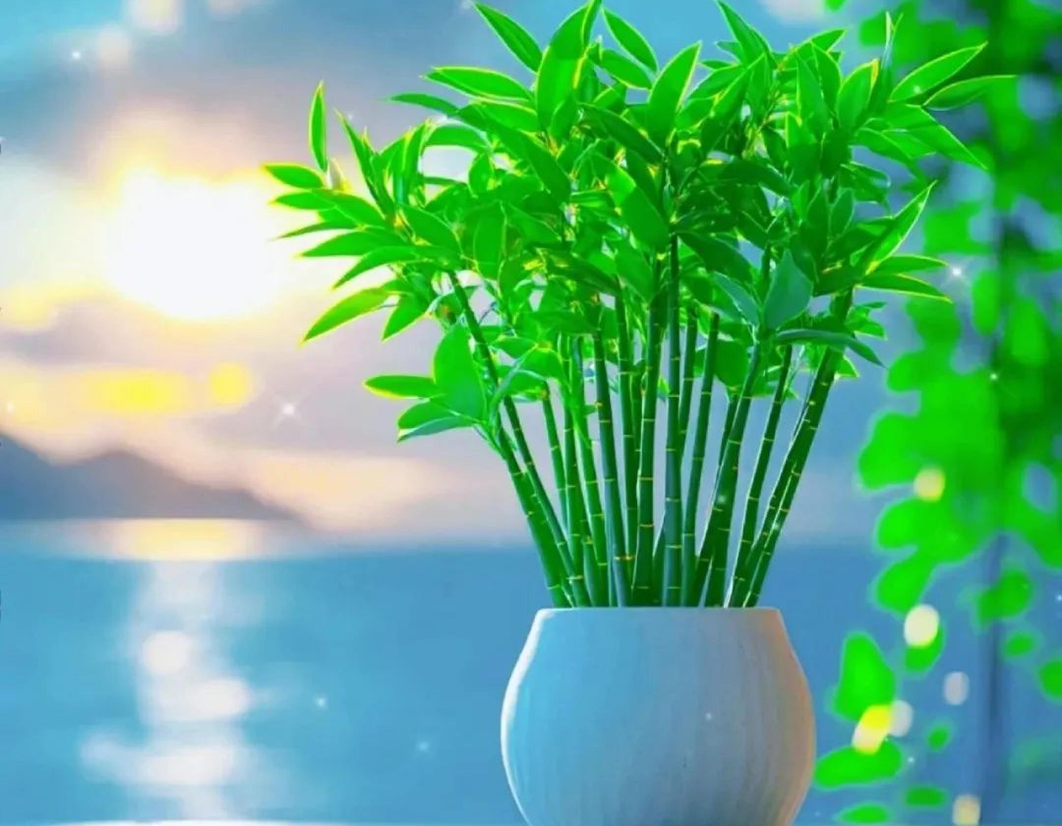 小头像大能量,富贵又吉祥的头像来了