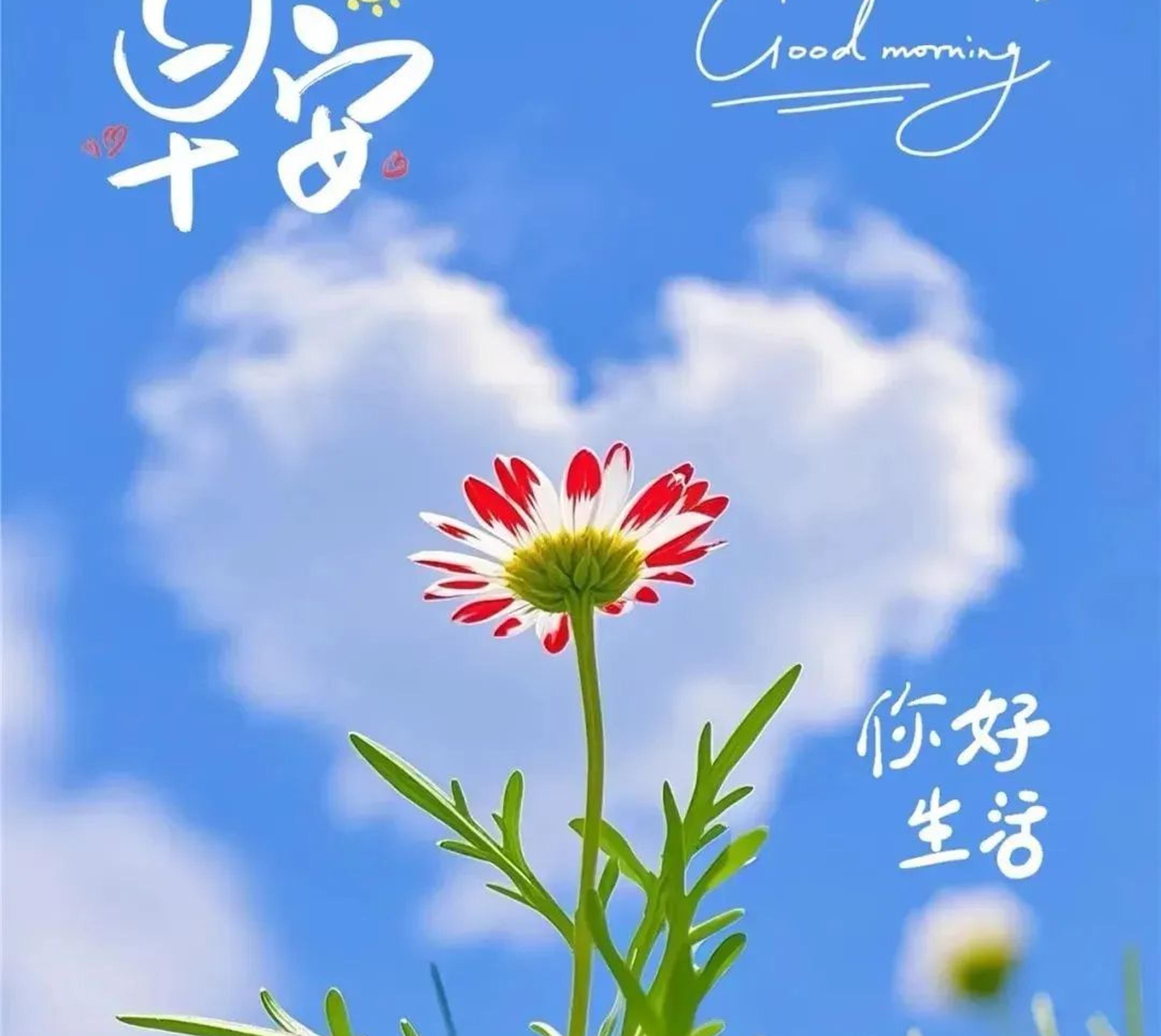 励志正能量图文素材(正能量励志图片 头像)
