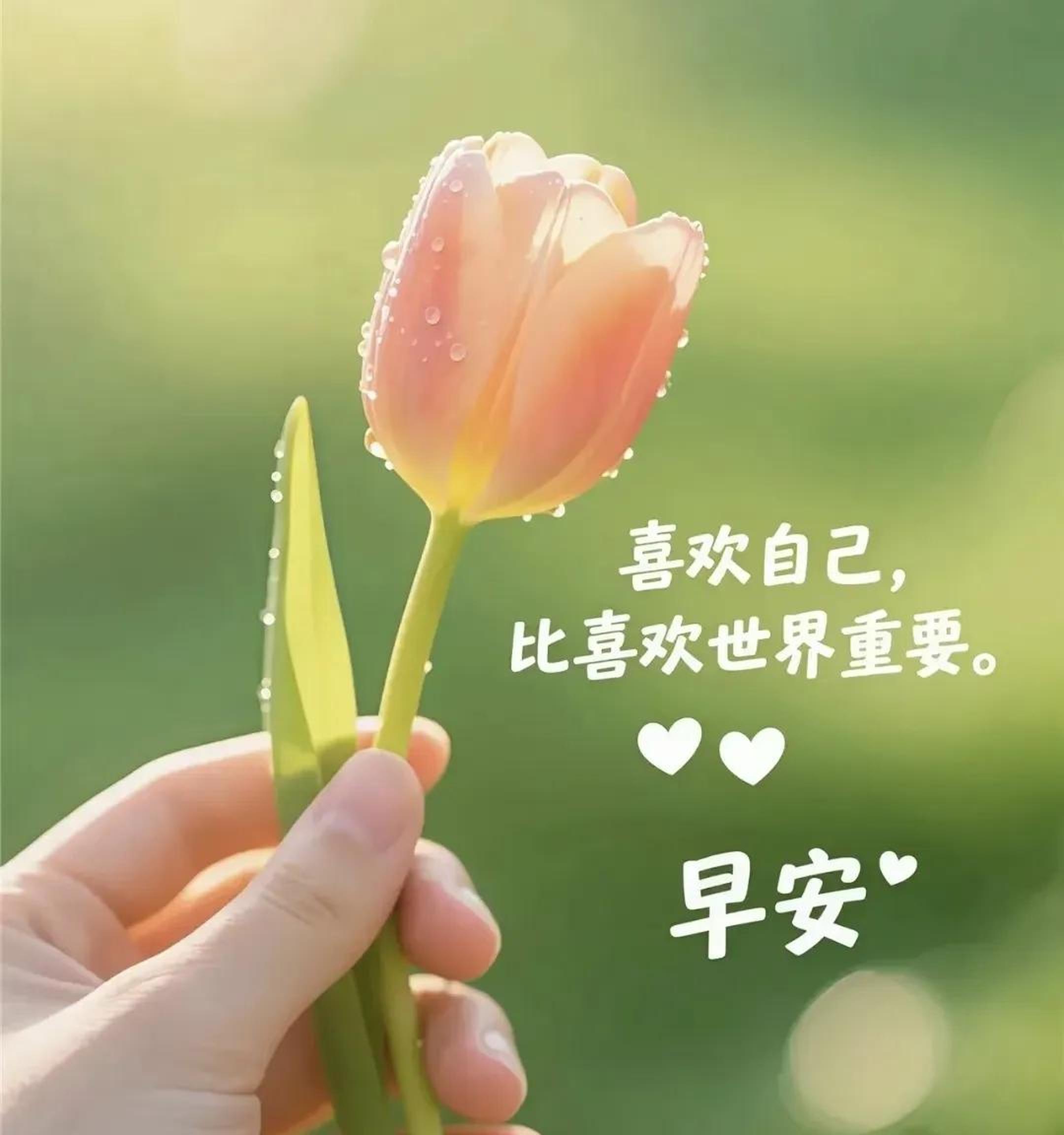 周二早安!朋友圈文案这样发,新的一天,愿你快乐,好运常伴!