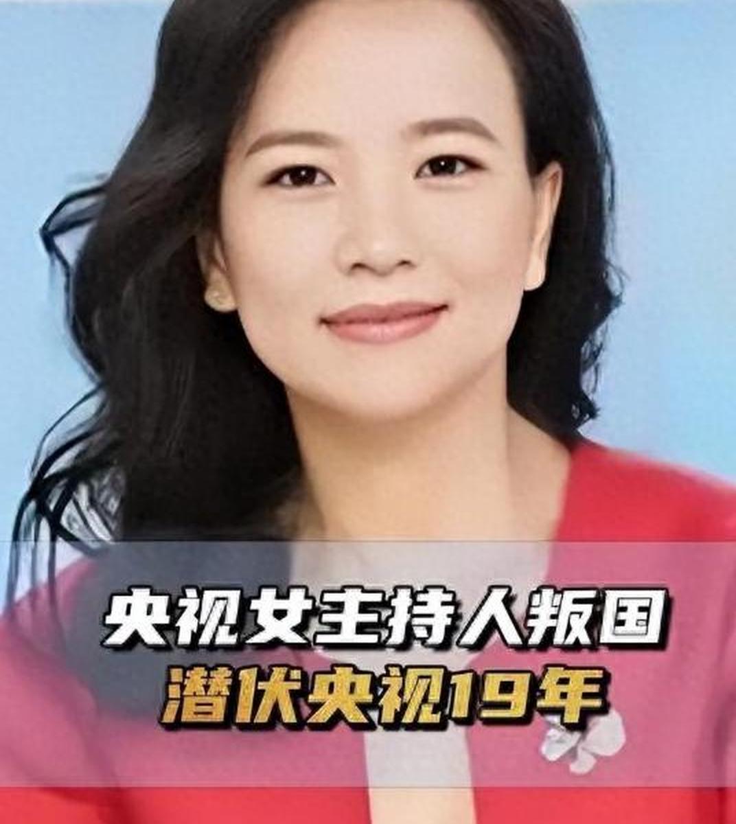 关于中央电视台女播音员间谍的信息
