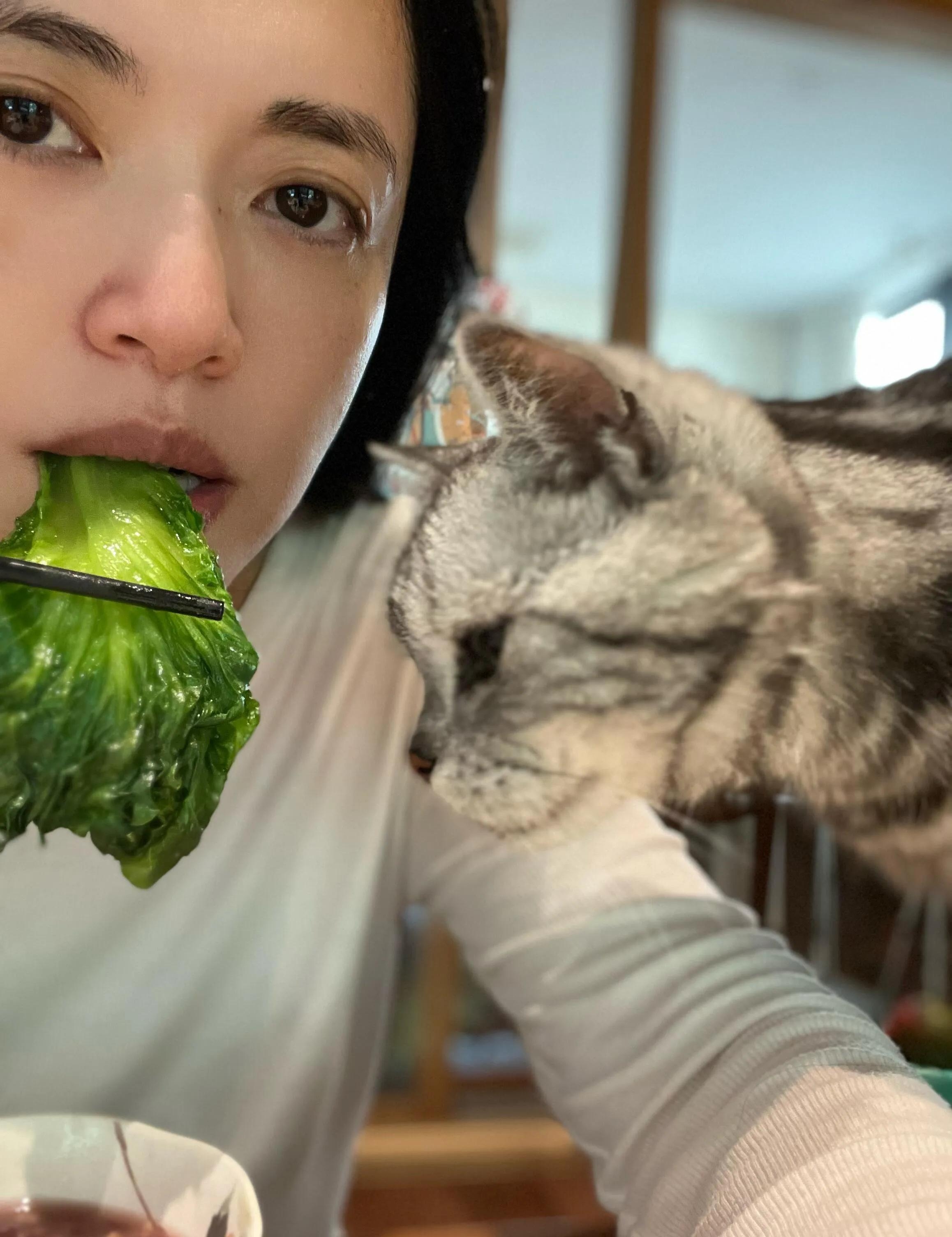 姚晨在阿尔卑斯山自拍她笑的牙花都露出来了她眼角的皱纹很美