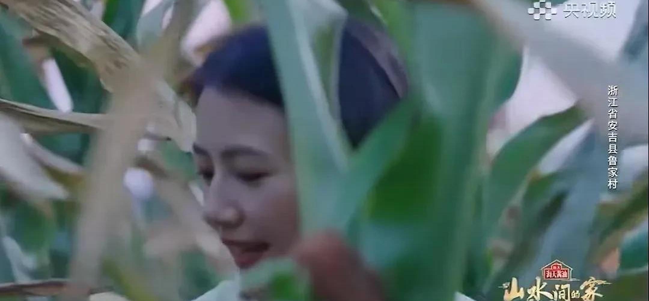 高圆圆体验乡村生活,素颜出镜毫无偶像包袱,也太美了吧!