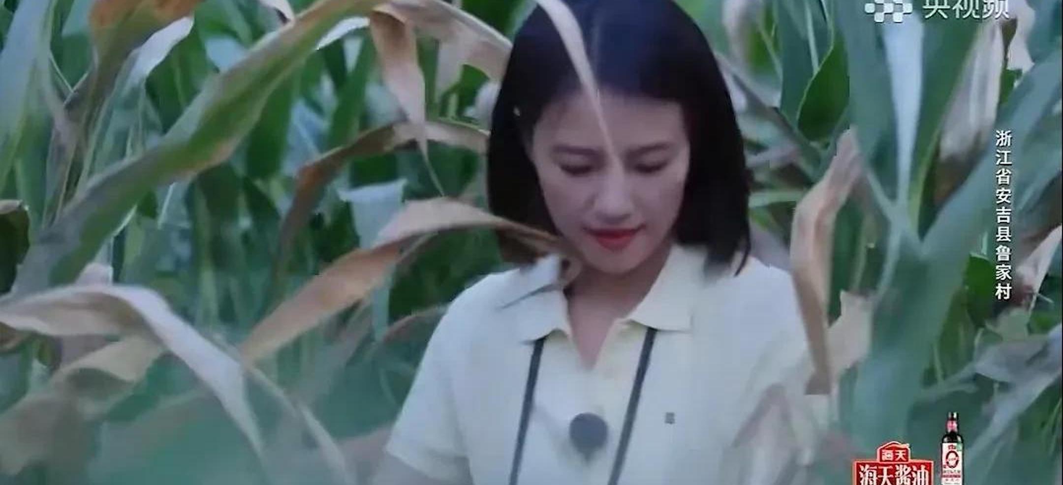高圆圆体验乡村生活,素颜出镜毫无偶像包袱,也太美了吧!