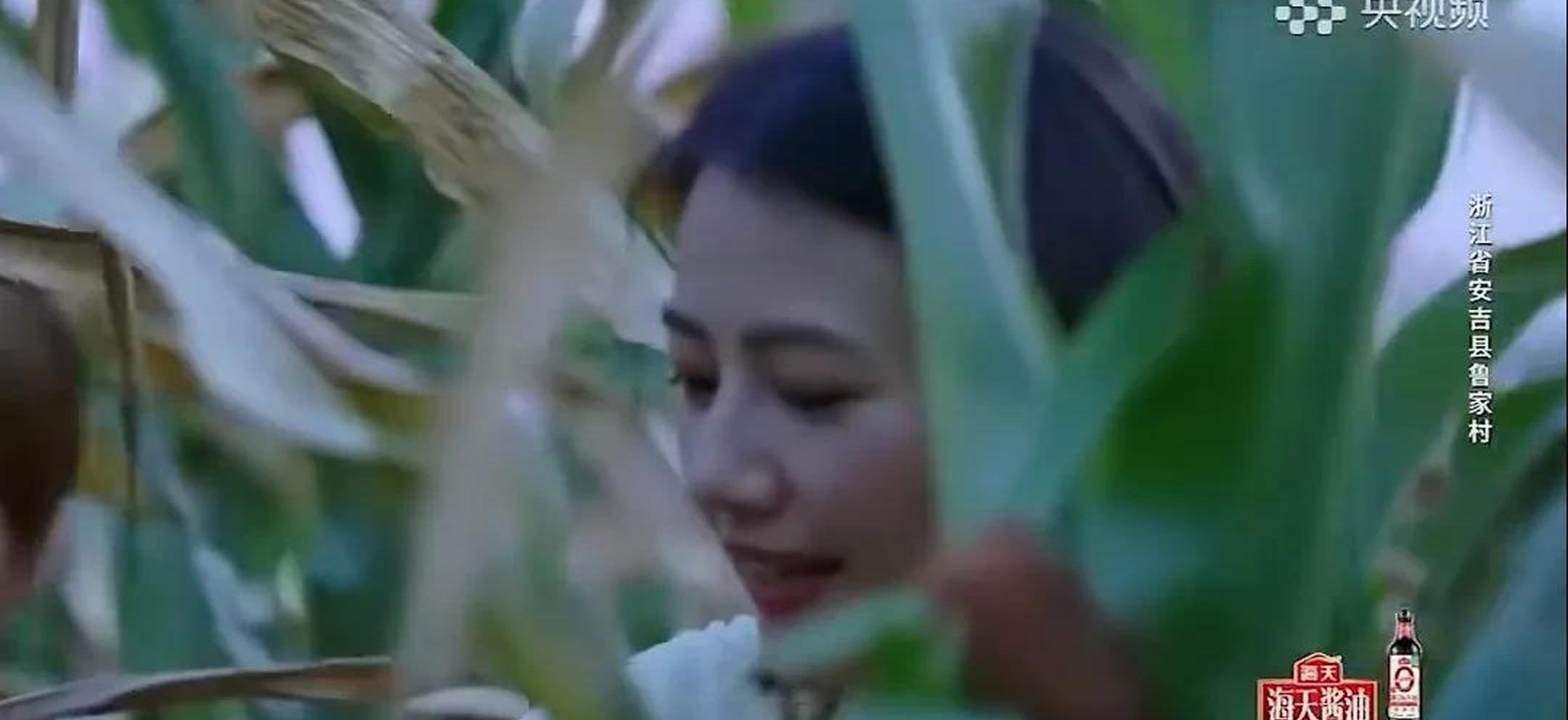 高圆圆体验乡村生活,素颜出镜毫无偶像包袱,也太美了吧!