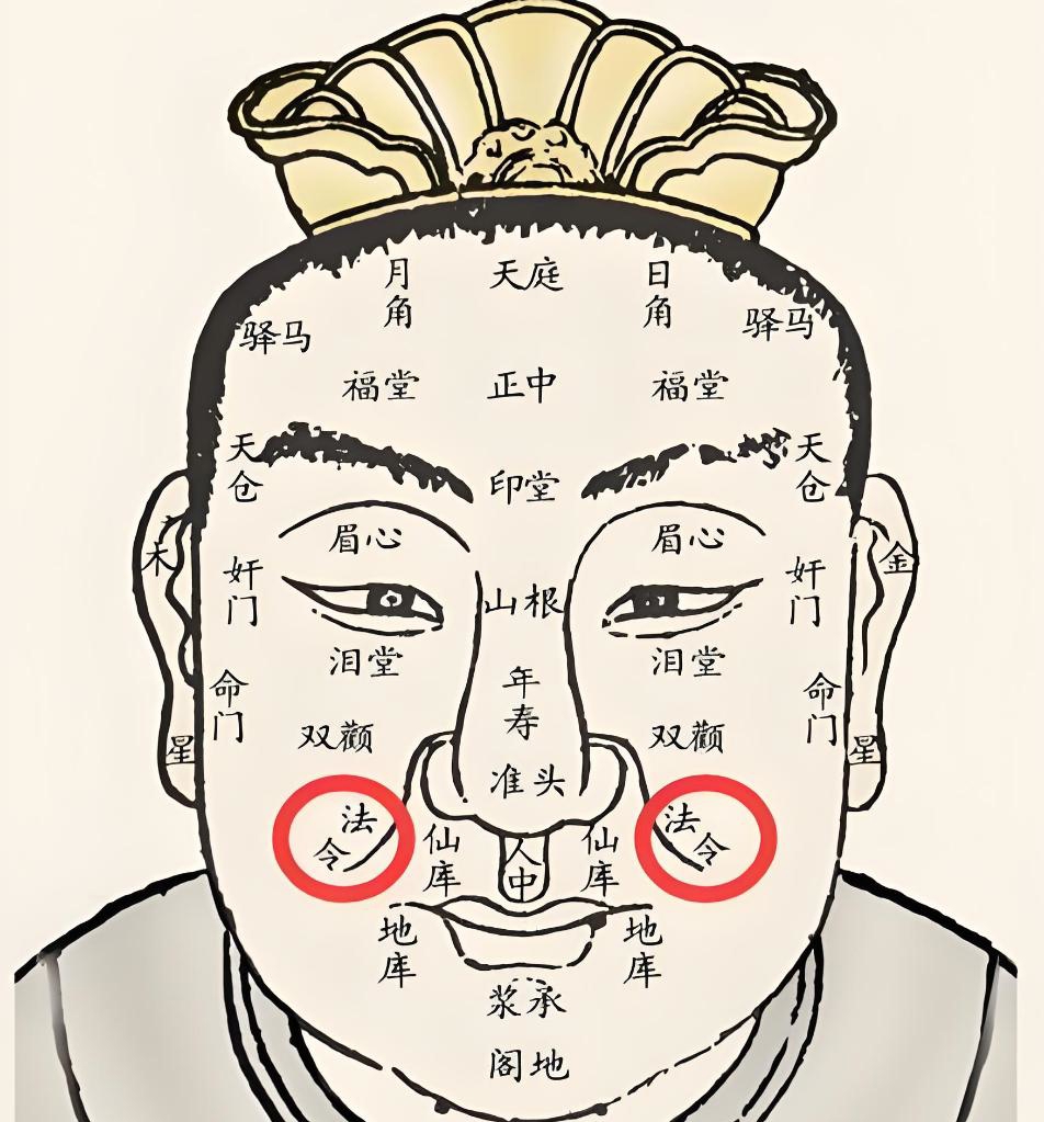 面相学:这样的法令纹预示婚姻幸福度极高