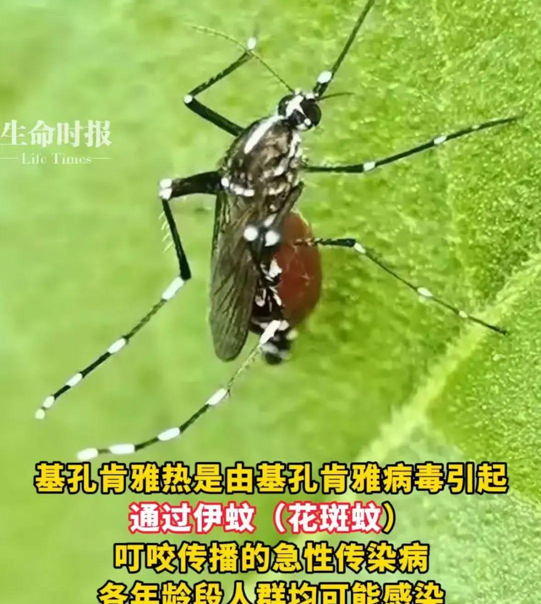  佛山疫情最新进展数据(疫情最新数据消息广东佛山)