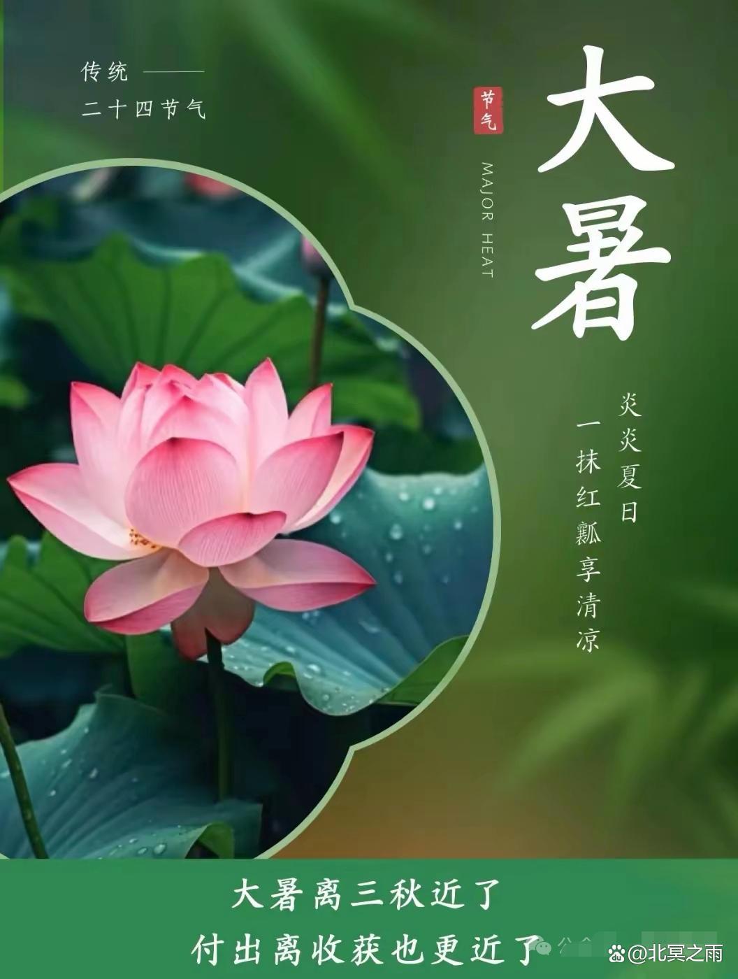 今日大暑图片发朋友圈,大暑至盛,万物荣华