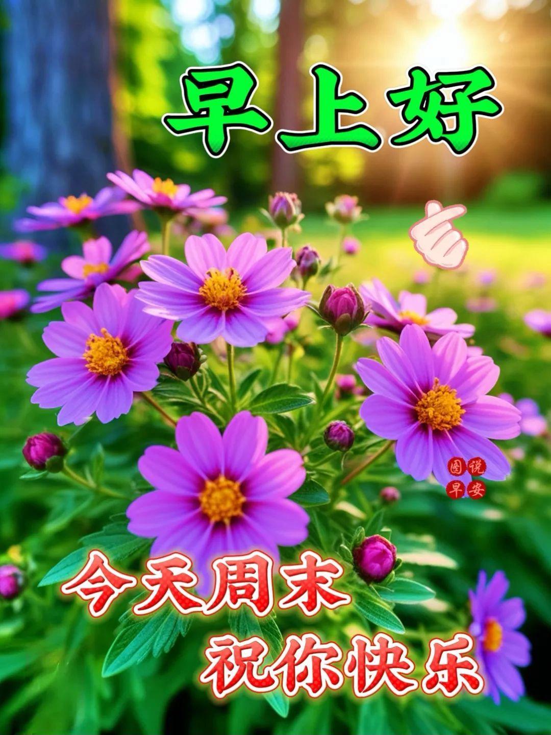 10条周末愉快问候语图片,唯美风景图片,周末祝福快乐!