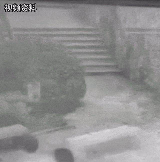 电动车改装夺命时速少年魂断飙车梦-有驾