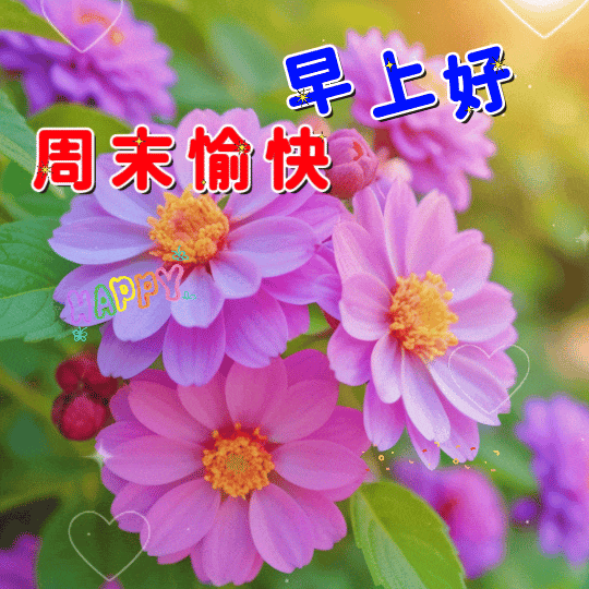 10条周末愉快问候语图片,唯美风景图片,周末祝福快乐!