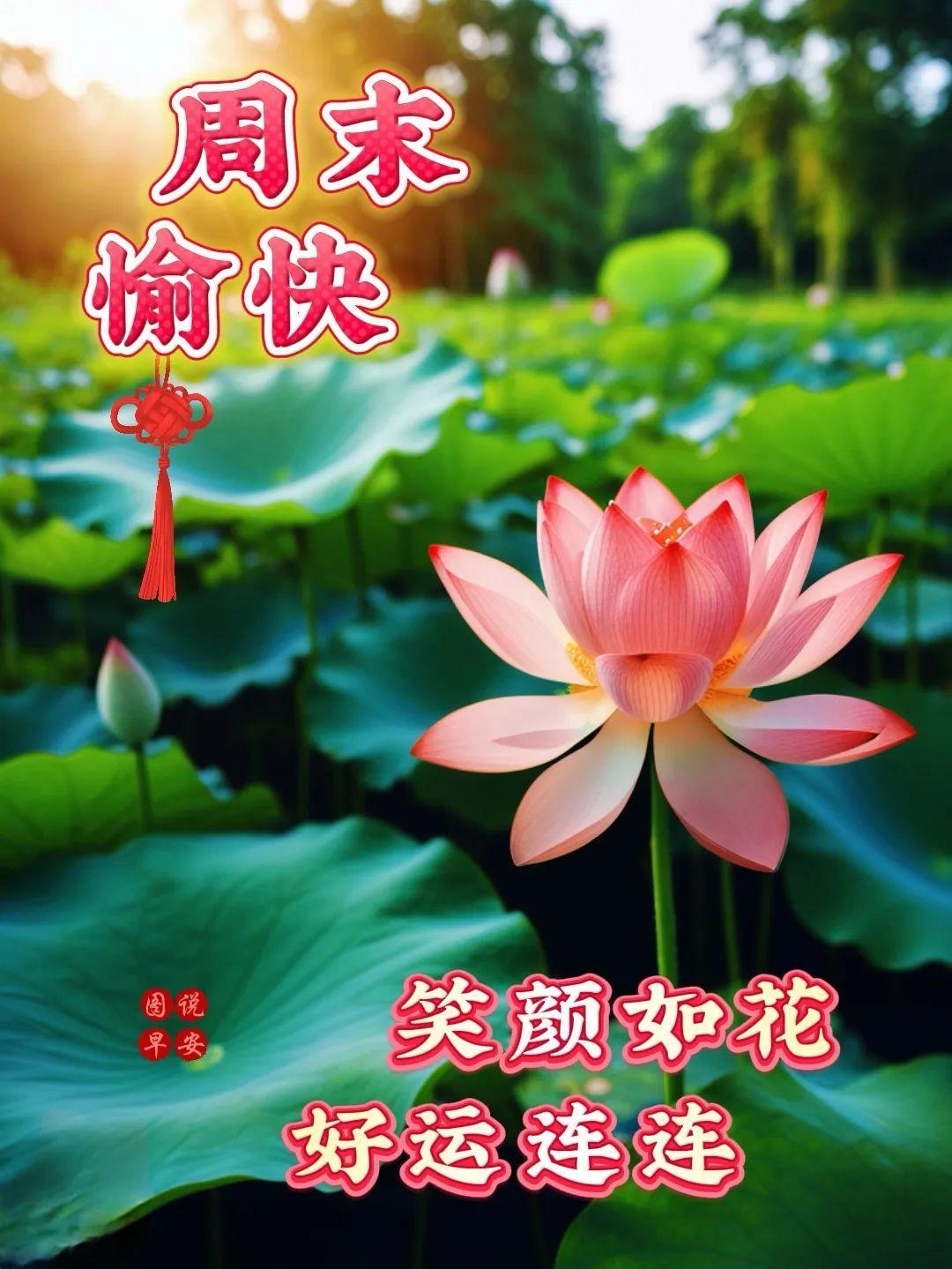10条周末愉快问候语图片,唯美风景图片,周末祝福快乐!