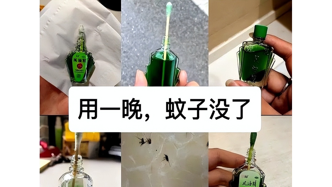 蚊子最怕什么?很多人不知道!学会这5招,蚊子从此不敢进家门