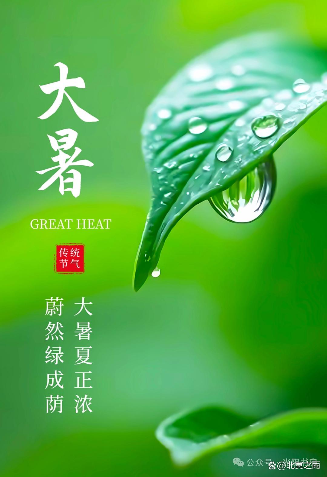 今日大暑图片发朋友圈大暑至盛万物荣华