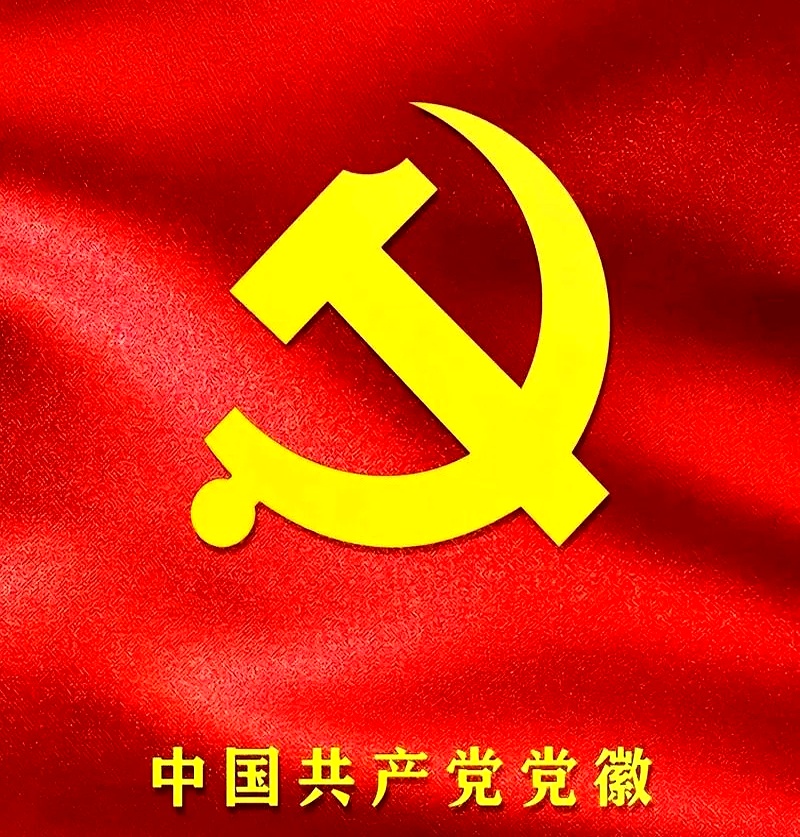 老党员当场纠错:那不是党徽!一字之差,性质太严重!