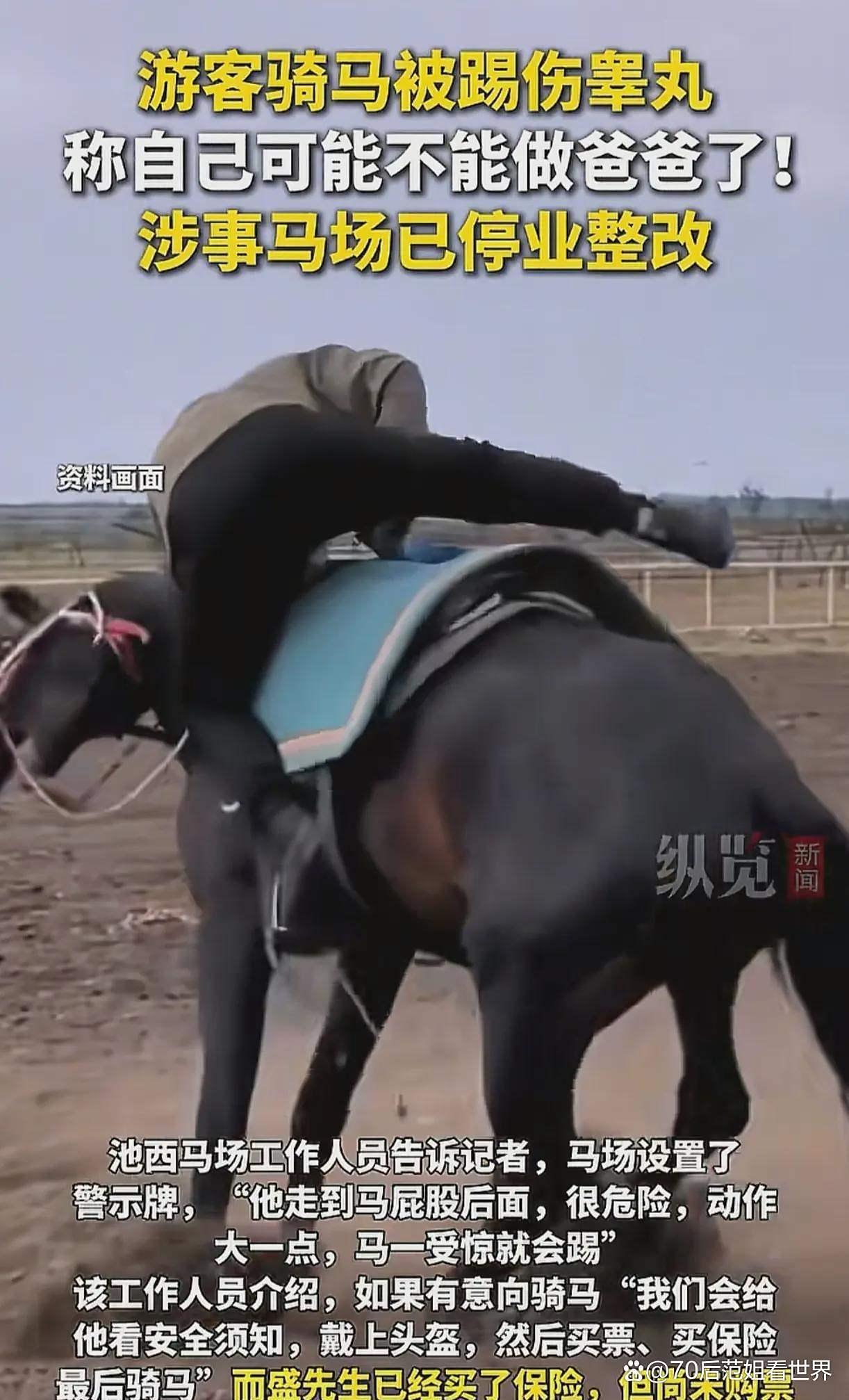 1222_2014竖版 竖屏gif 动态图 动图