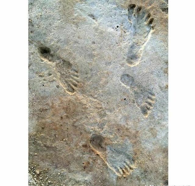 28张不可思议的真实照片,玩坏了,胸罩500年了,温牛奶洗避孕套