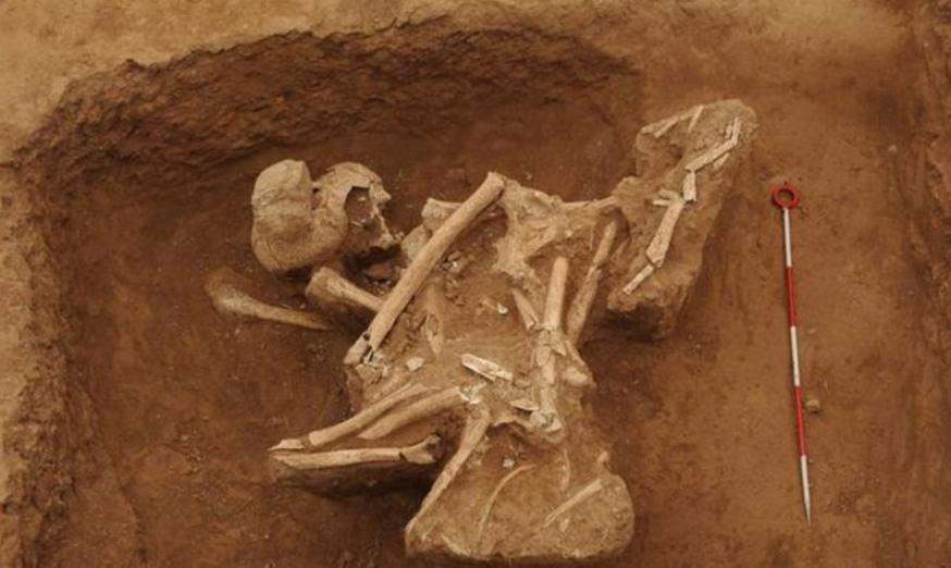 76年陕西出土秦始皇女儿墓,尸骨潦草堆砌,证实秦王朝残酷斗争史