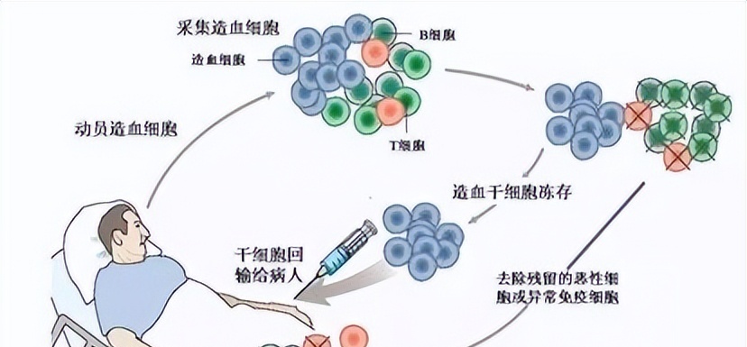 生物工程学报投稿问答：新手必知的五个关键点