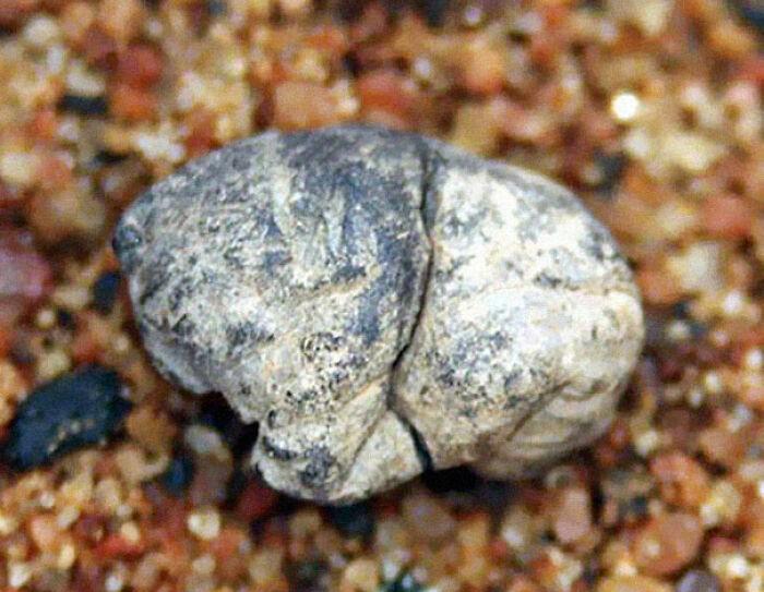 28张不可思议的真实照片,玩坏了,胸罩500年了,温牛奶洗避孕套