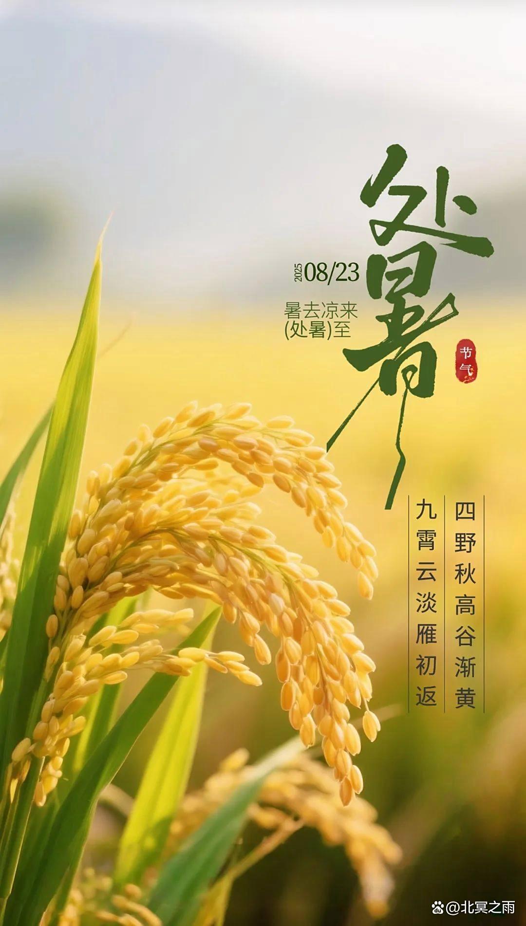 8月23日处暑处暑至秋风起人间正好处暑快乐